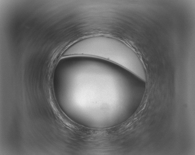 X0000055520097200508120832