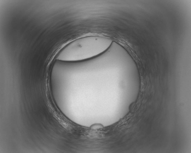 X0000055520098200508120832