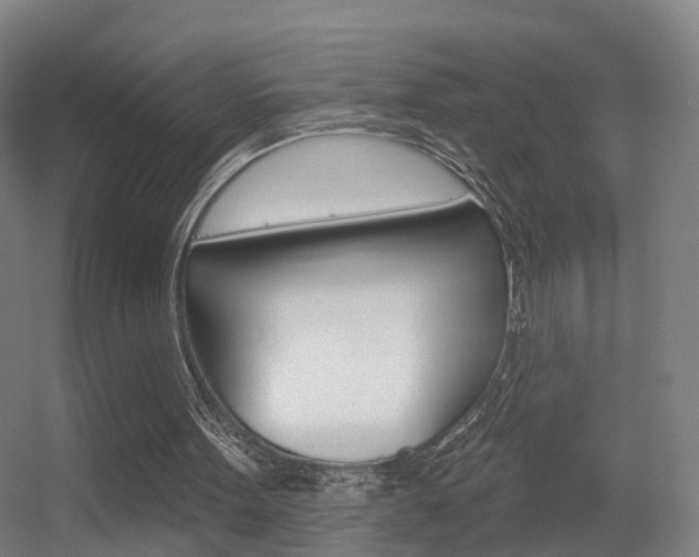 X0000055520099200508120832