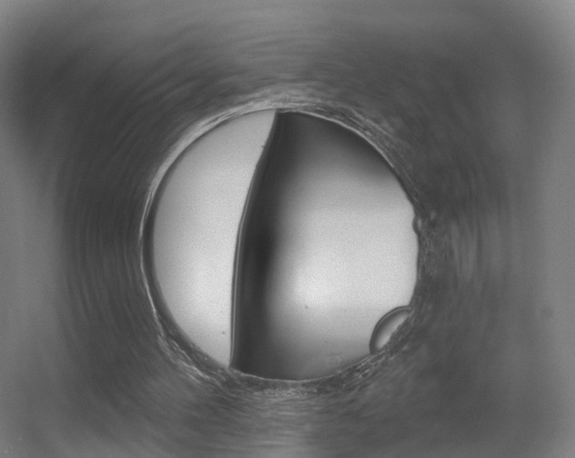 X0000055520100200508120832
