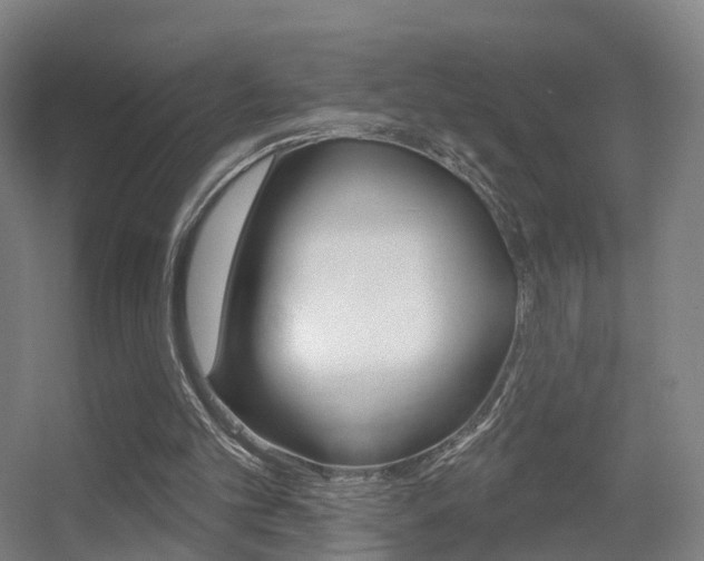 X0000055520101200508120832