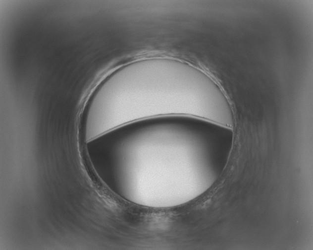 X0000055520103200508120832