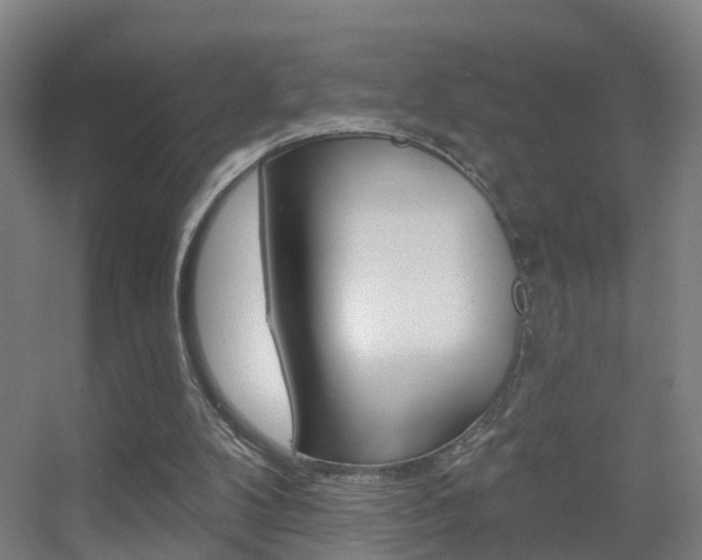 X0000055520104200508120832