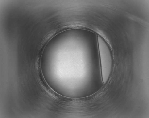 X0000055520105200508120832
