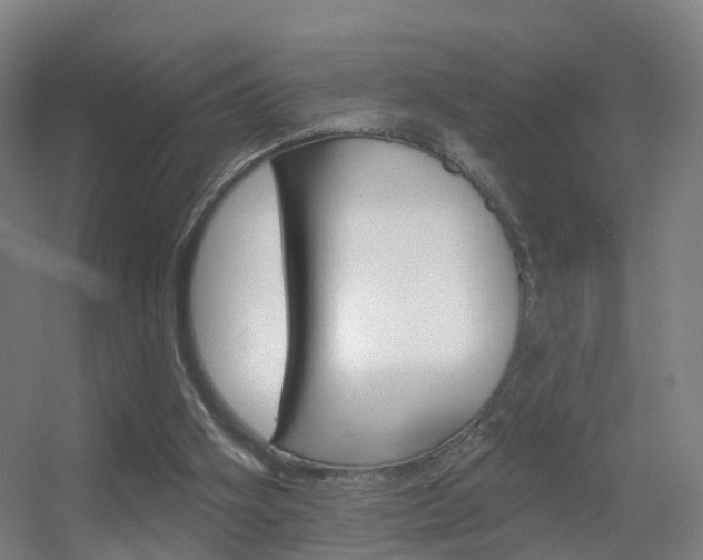 X0000055520106200508120832