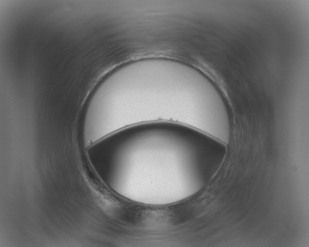 X0000055520107200508120832