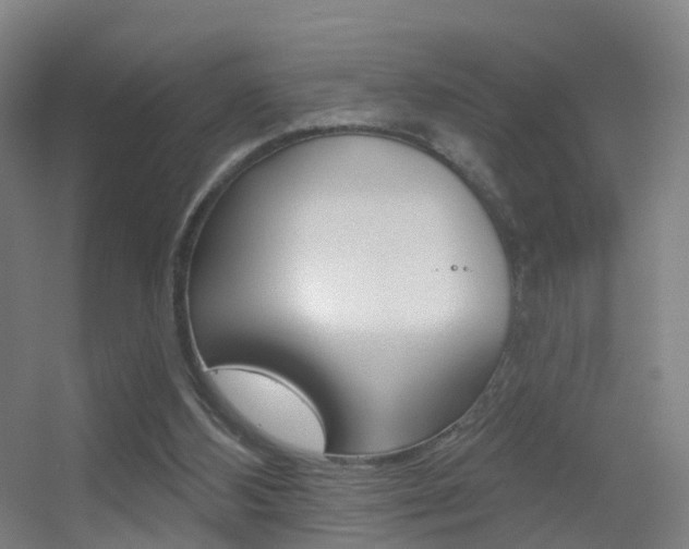 X0000055520108200508120832
