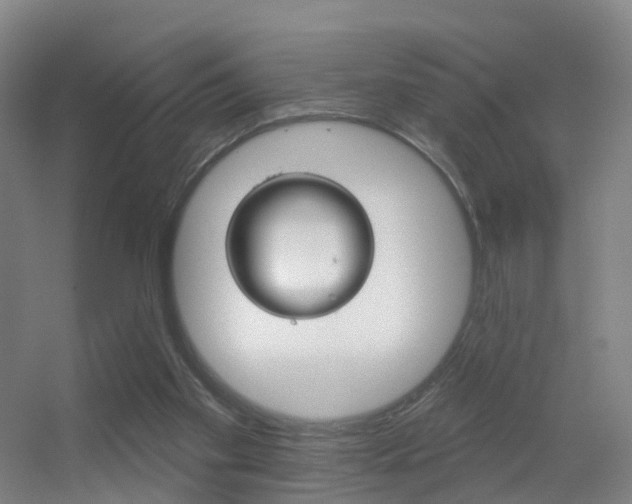 X0000055520109200508120832