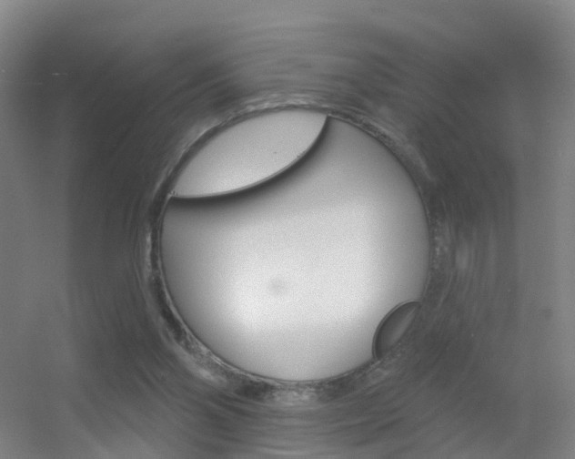 X0000055520110200508120832