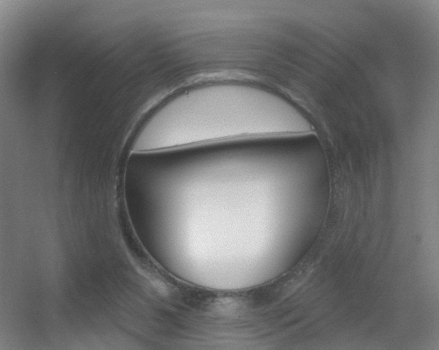 X0000055520111200508120832