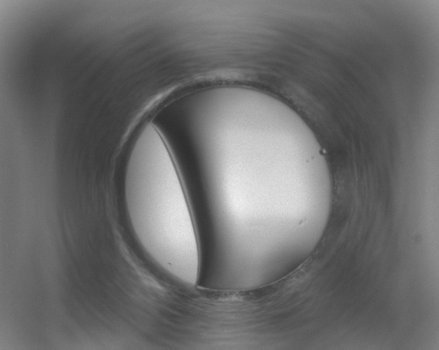 X0000055520112200508120832