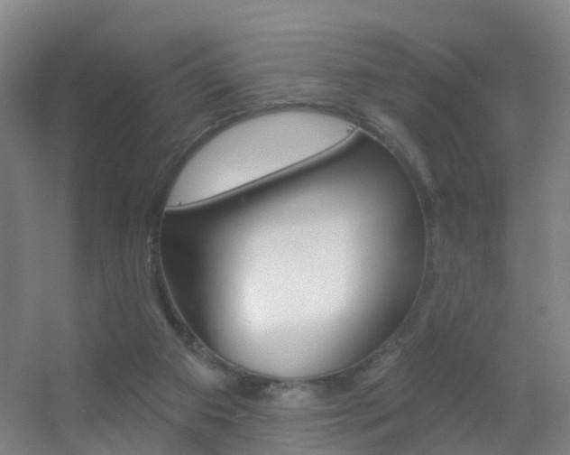 X0000055520113200508120832