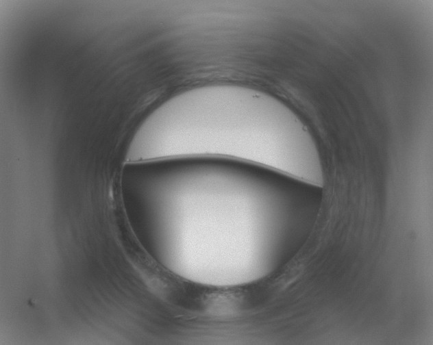 X0000055520115200508120832