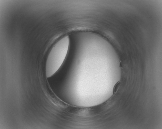X0000055520116200508120832