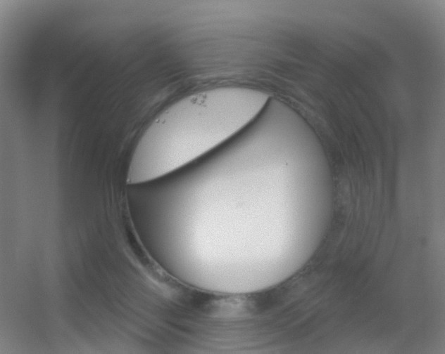 X0000055520118200508120832