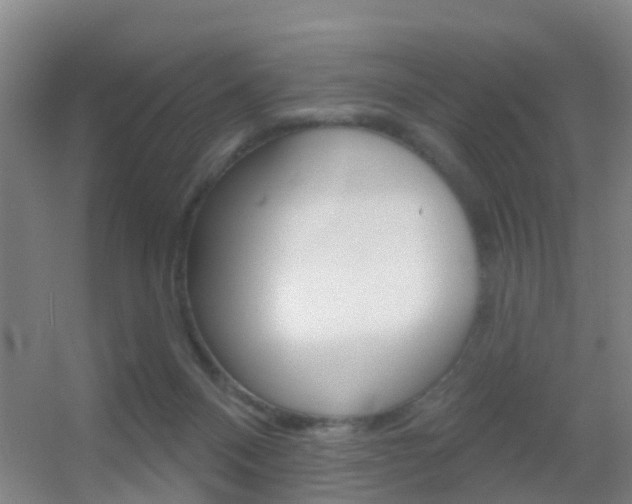 X0000055520120200508120832