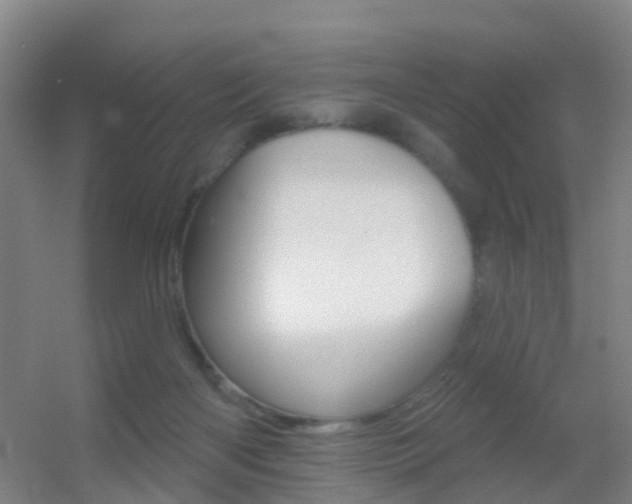X0000055520122200508120832