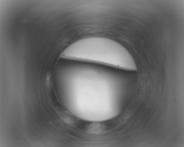 X0000055520123200508120832