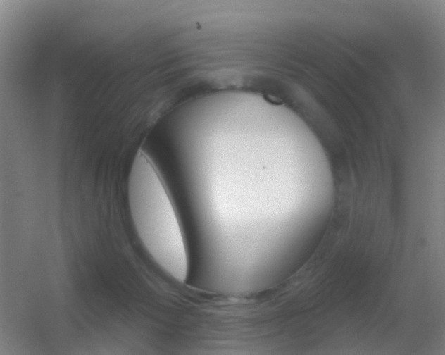 X0000055520125200508120832