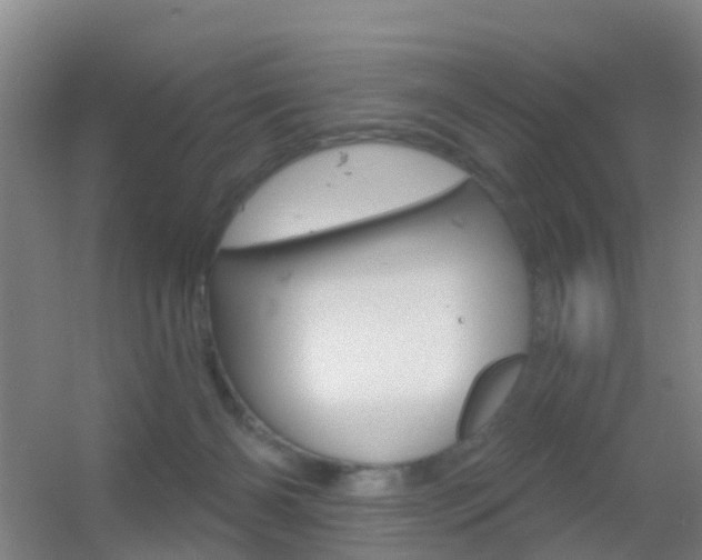 X0000055520126200508120832
