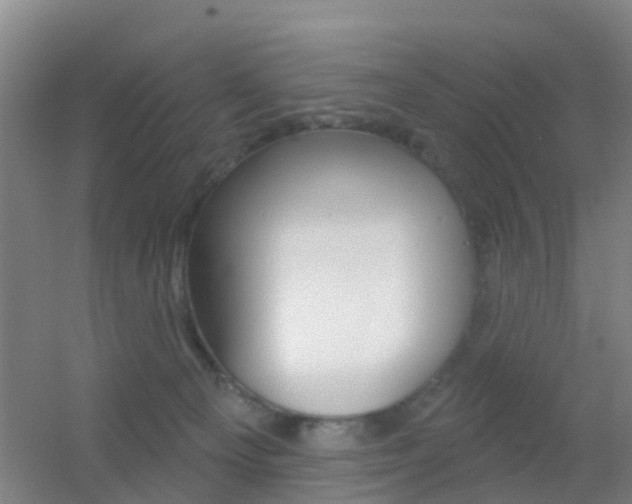 X0000055520129200508120832