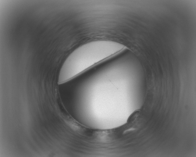 X0000055520131200508120832