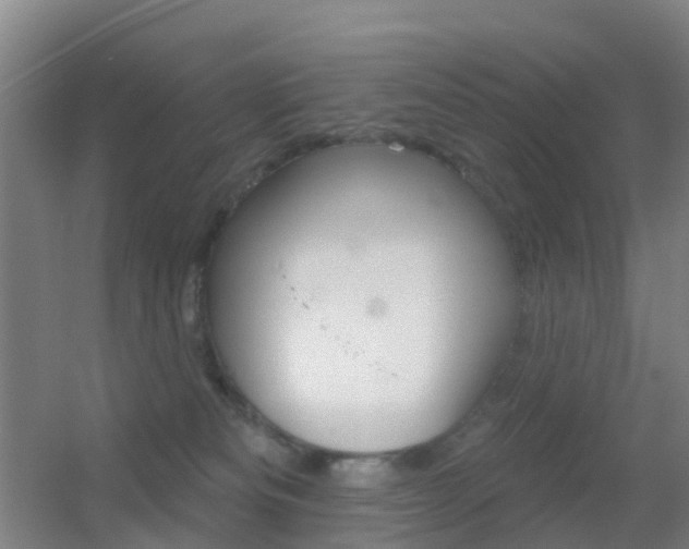 X0000055520133200508120832