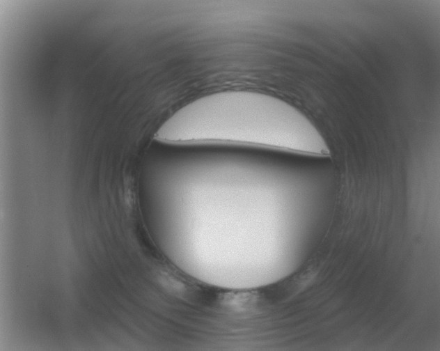 X0000055520135200508120832