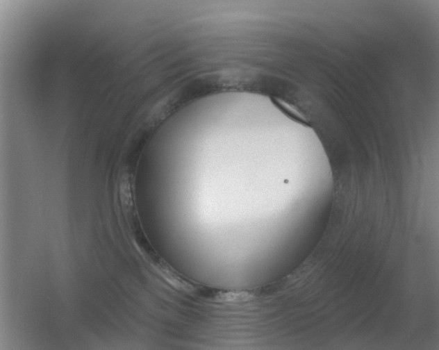 X0000055520137200508120831