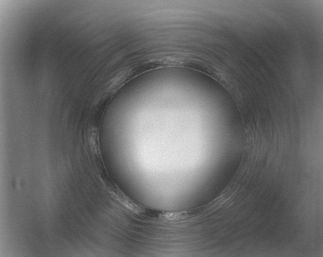 X0000055520141200508120831