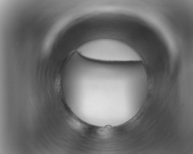 X0000055520142200508120831