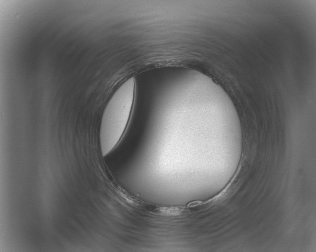 X0000055520144200508120831