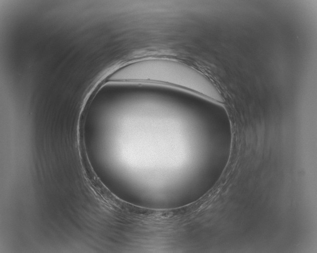 X0000055520148200508120831