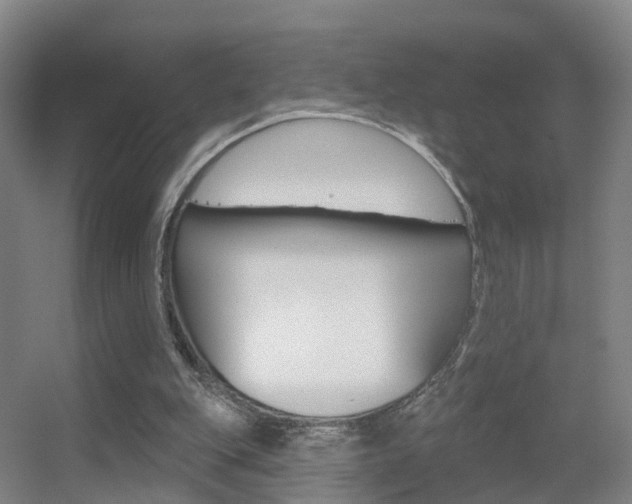 X0000055520151200508120831