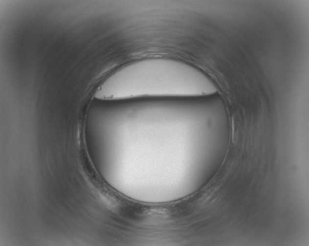 X0000055520157200508120831