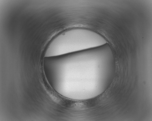 X0000055520159200508120831