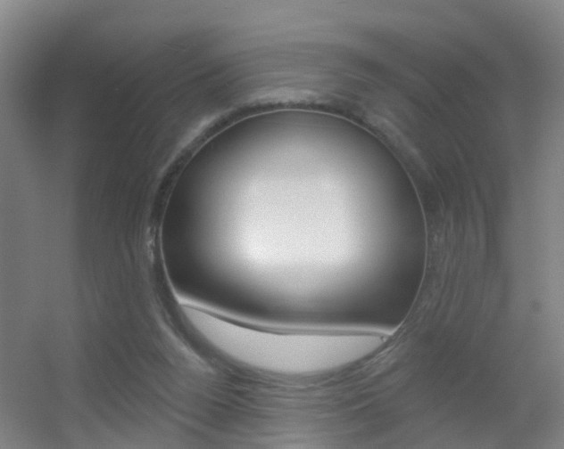X0000055520160200508120831