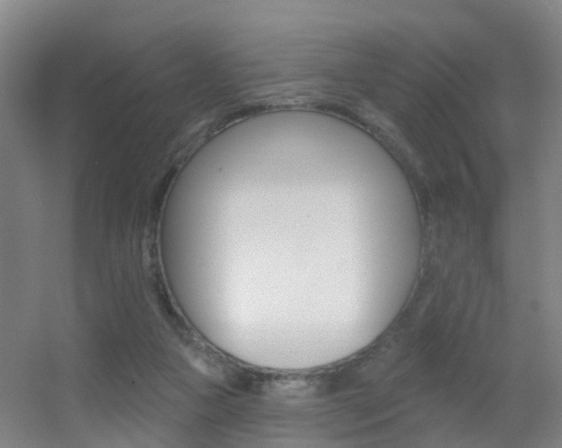 X0000055520161200508120831