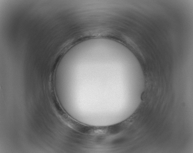X0000055520163200508120831