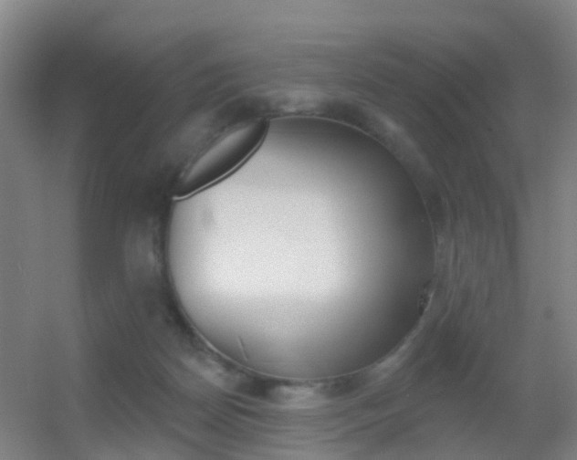 X0000055520170200508120831