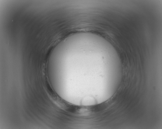 X0000055520171200508120831