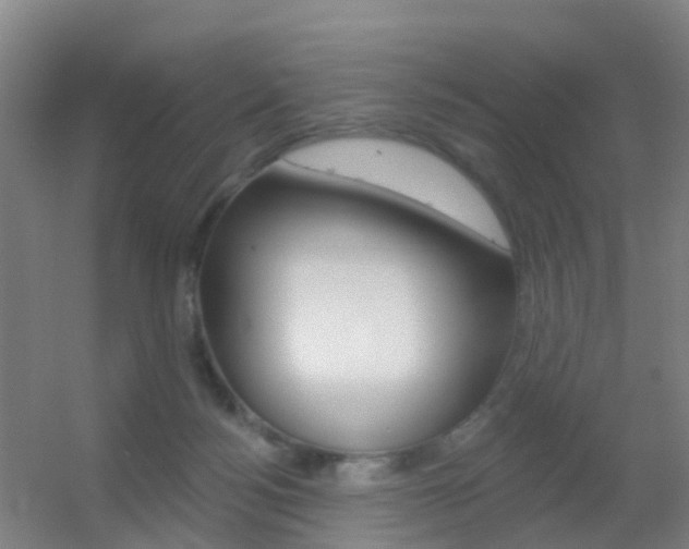 X0000055520172200508120831