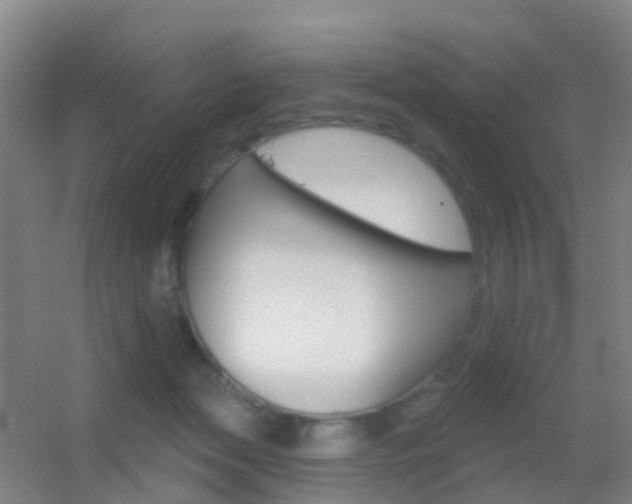 X0000055520173200508120831