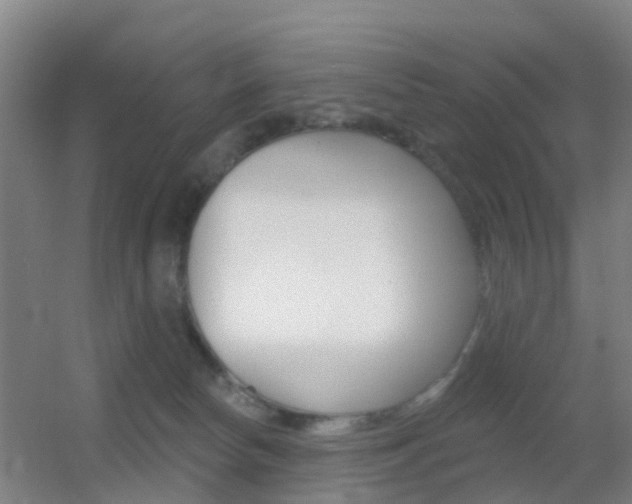 X0000055520178200508120831