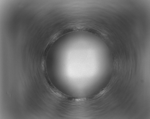 X0000055520188200508120831