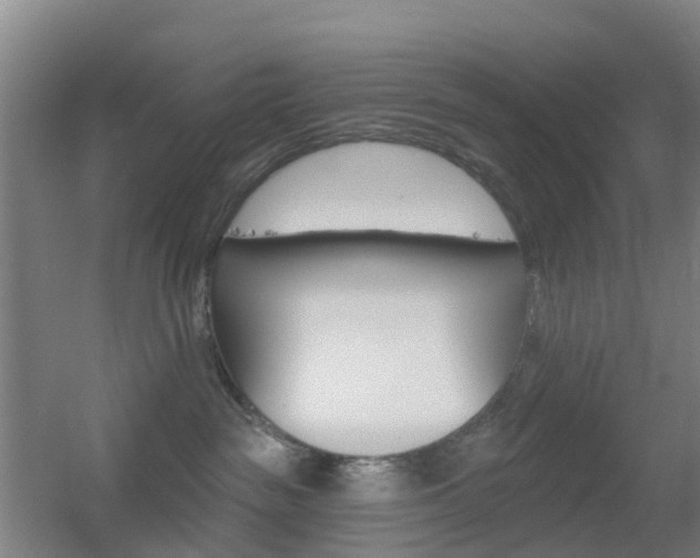 X0000055520189200508120831