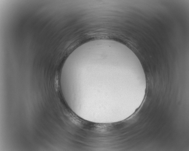 X0000055520190200508120831