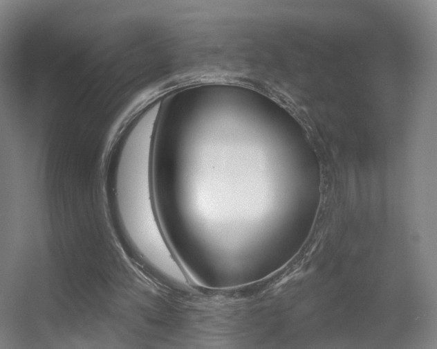 X0000055520197200508120830