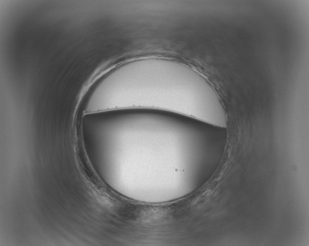 X0000055520198200508120830