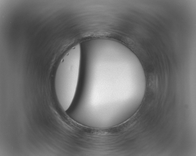 X0000055520206200508120830